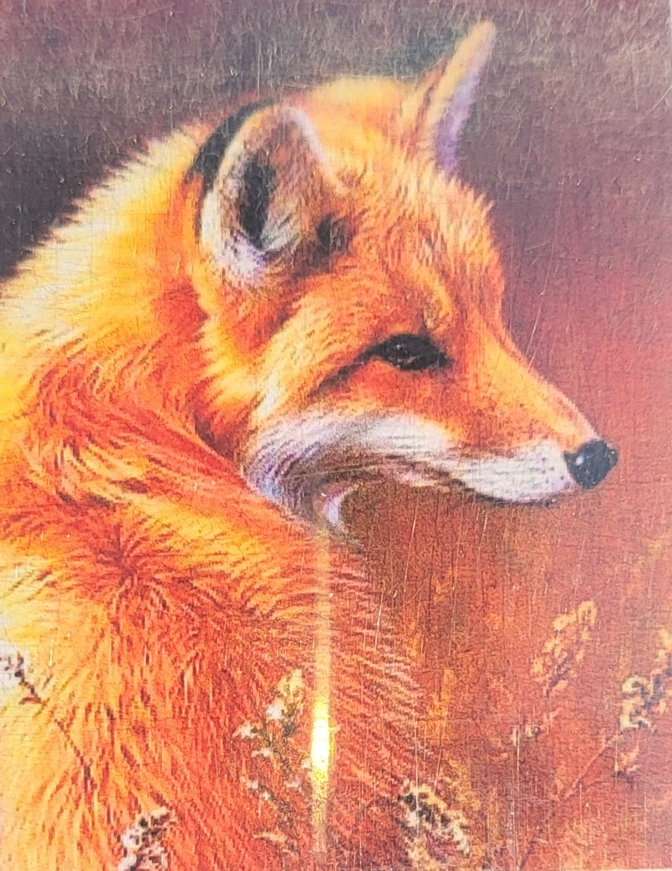 TELA VOLPE - 30x40