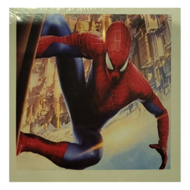 SPIDERMAN 2 - 20x20