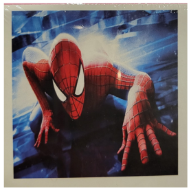 SPIDERMAN - 20x20