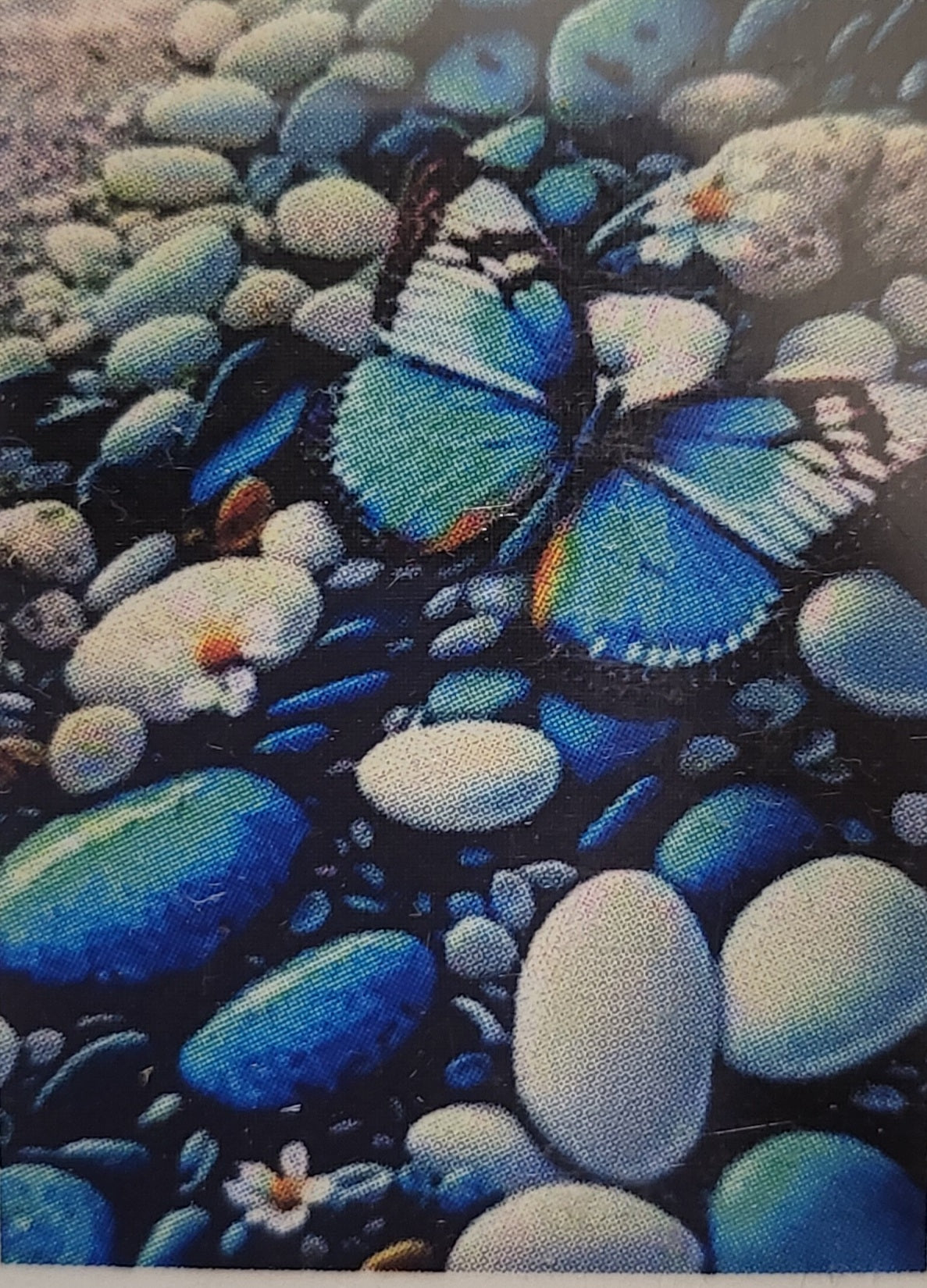 TELE 30X40