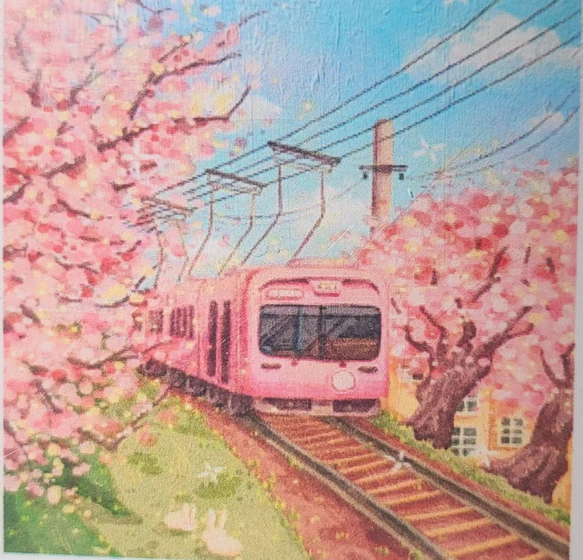 TELE 20x20 (tela colorata, disegno centrale a diamantini)