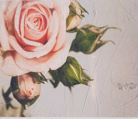 TELA ROSA - 20x30