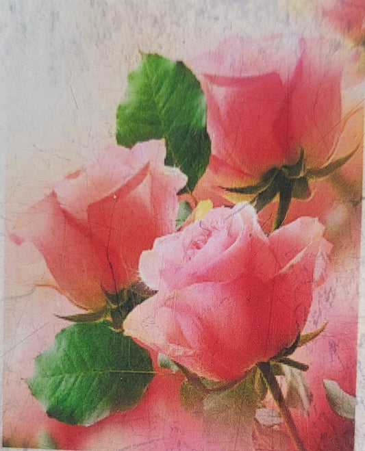 TELA ROSE - 20x30