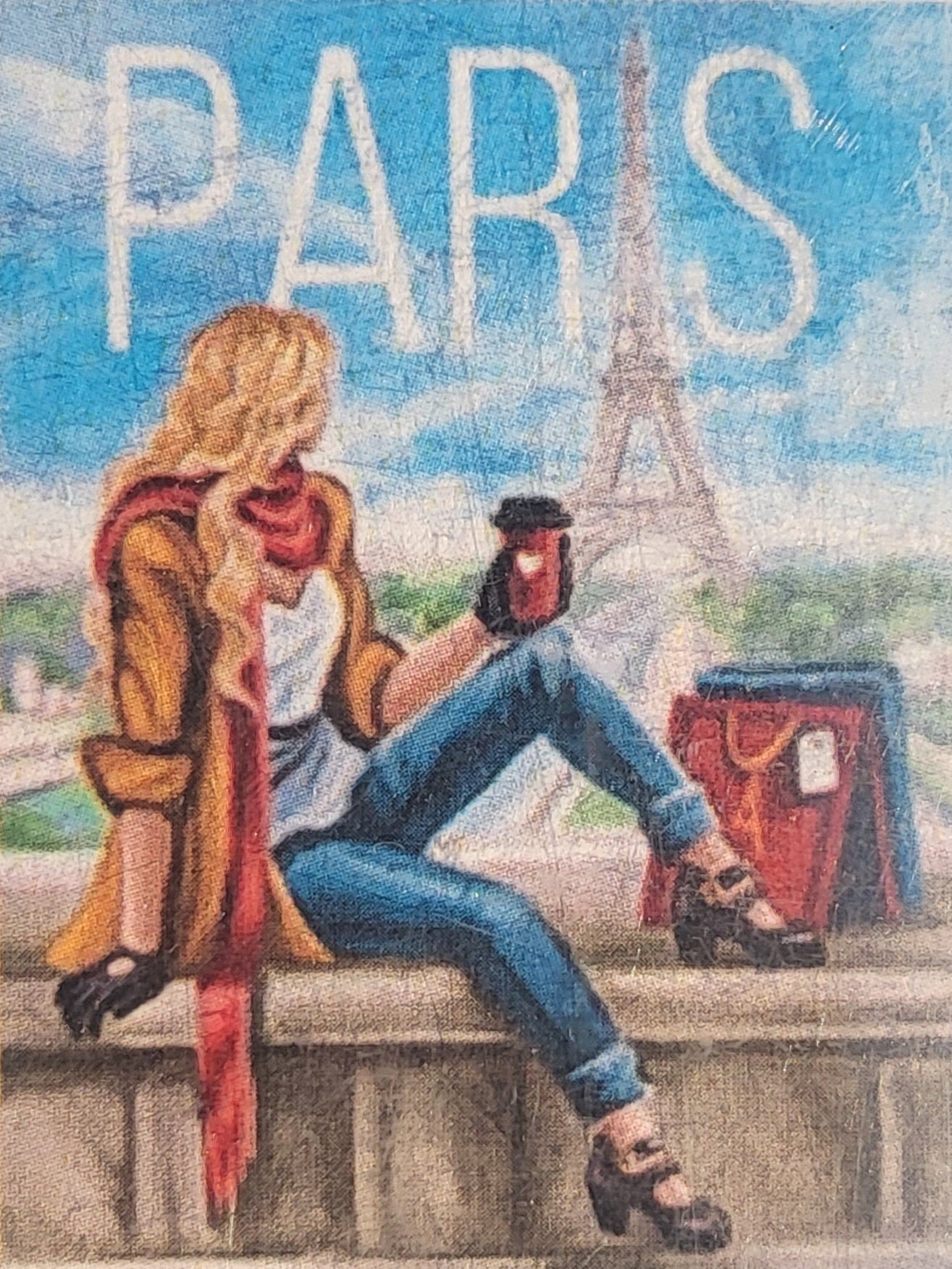 TELA PARIGI - 30x40