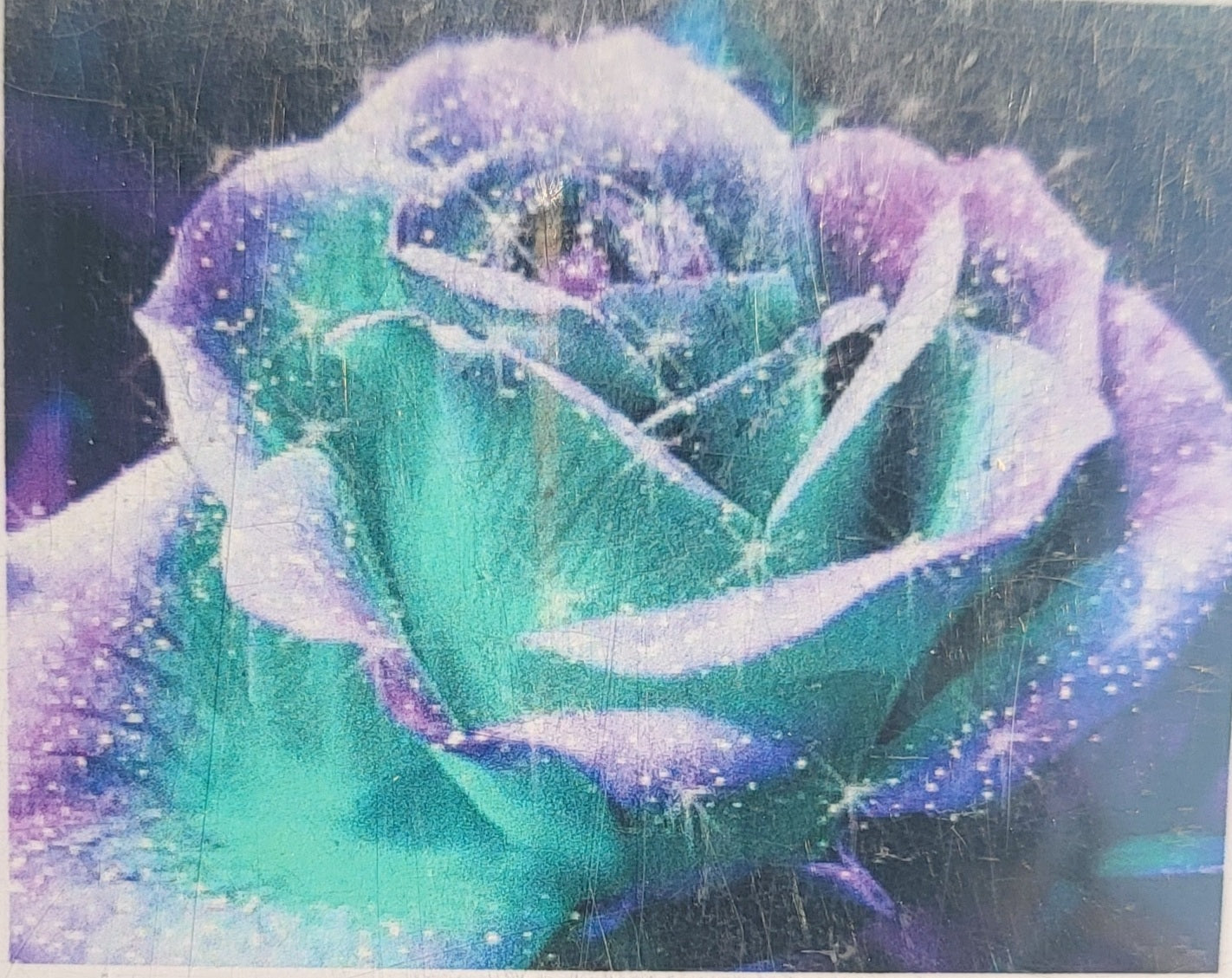 TELA ROSA BLU - 30x40