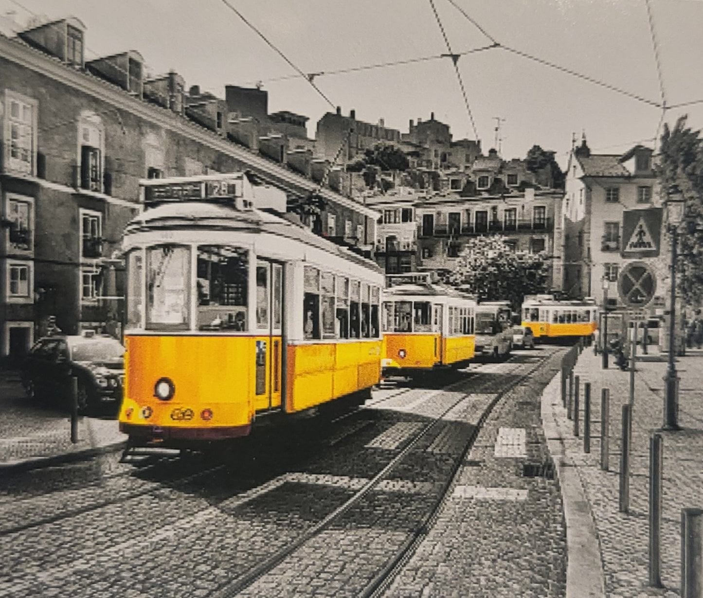 TELA TRAM BIANCO E NERO - 40x50