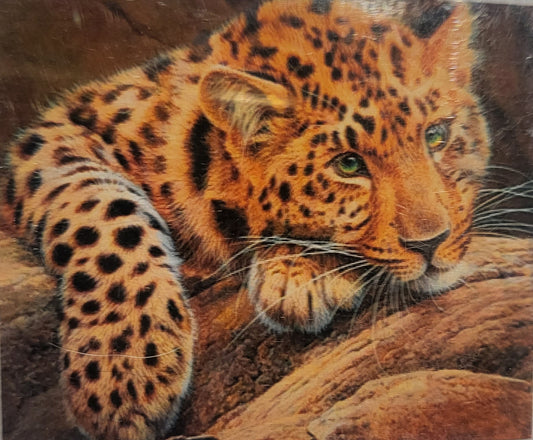 TELA TIGRE CUCCIOLO - 40x50