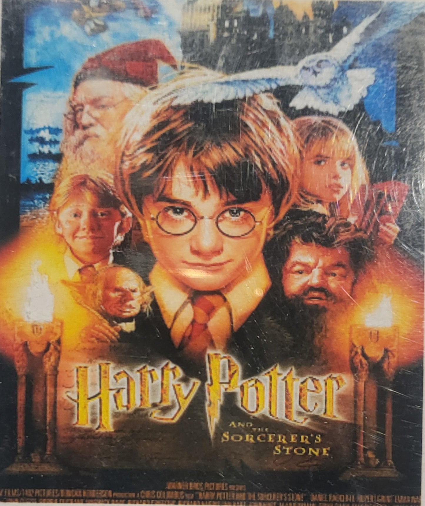 TELA HARRY POTTER - 40x50