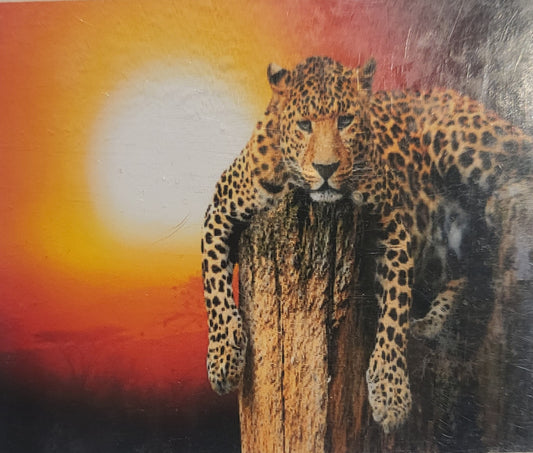 TELA TIGRE SDRAIATA - 40x50