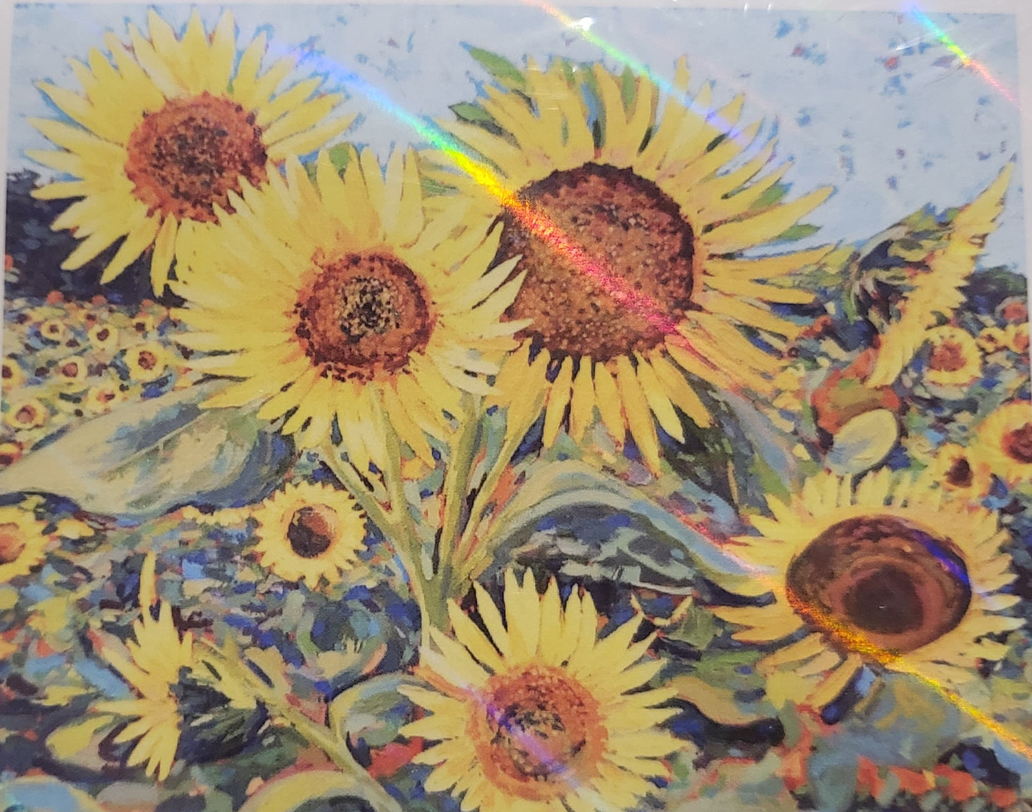 TELA GIRASOLI - 35x25