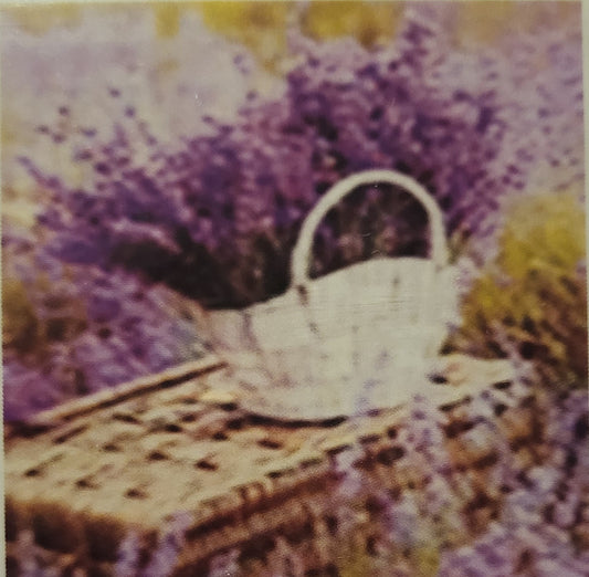 LAVANDA - 20x20
