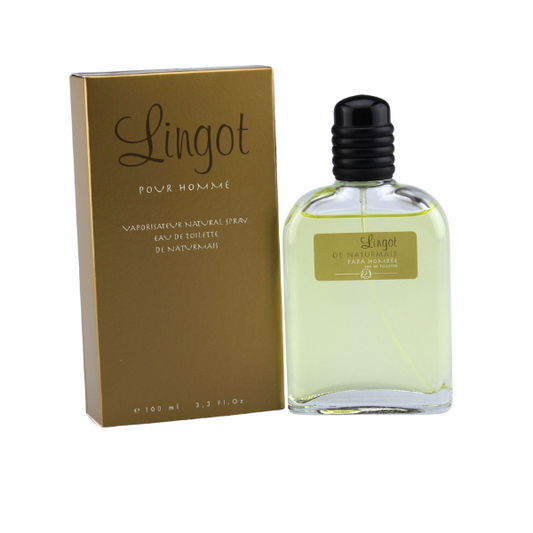 PROFUMO N59 - ISPIRATO A ONE MILLION - PACO RABANNE 100ml