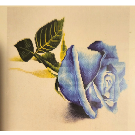 ROSA BLU - 20x20