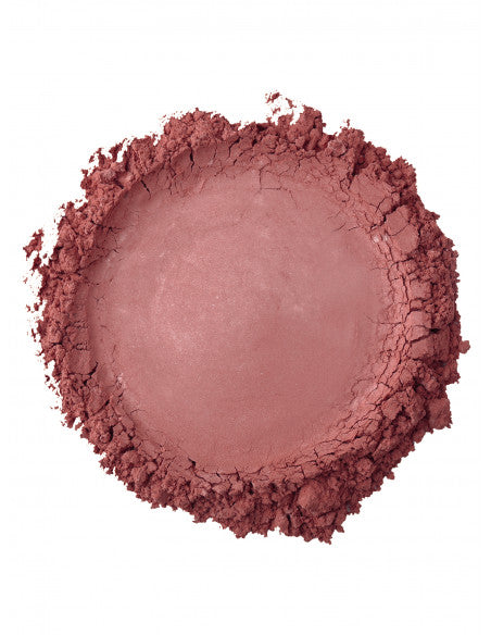 BLUSH REFILL 450